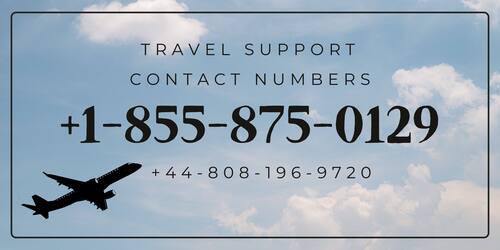 21 Ways to Call How to Contact Someone at American Airlines: A Complete Guide poster
