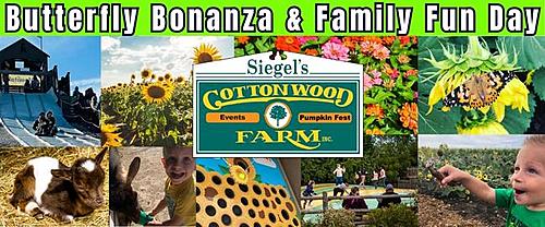 2024 Butterfly Bonanza: Family Fun and Release 🦋🌞 poster