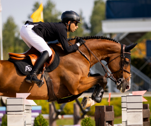 High-Stakes Horse Jumping | Four G Surfaces CSI3* Grand Prix image