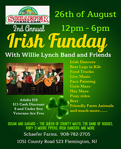Irish Funday poster